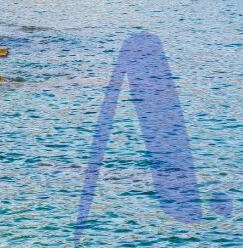Roquebrune-cap-Martin